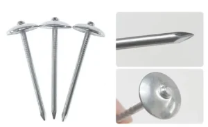 Umbrella-head nails with close views of a head and a pointed end