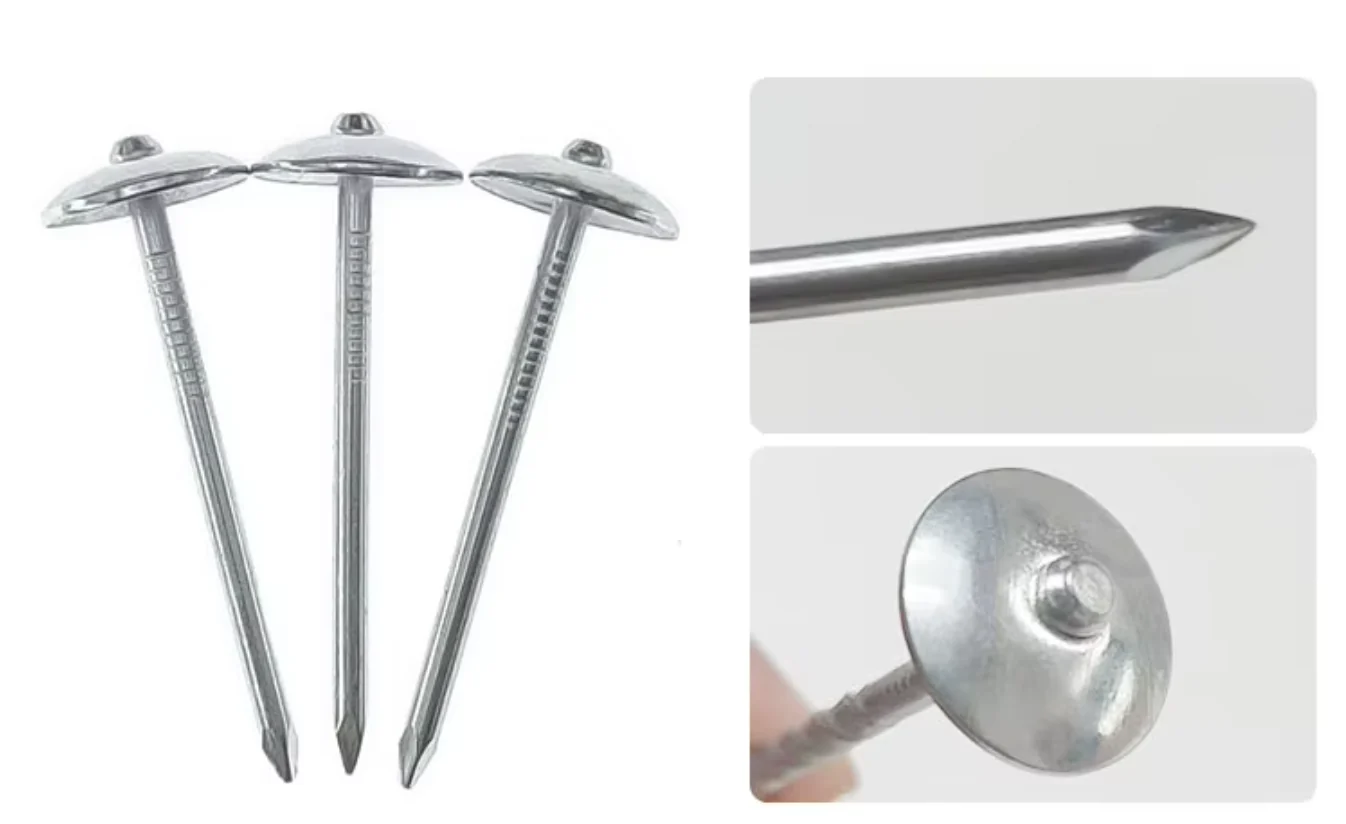 Umbrella-head nails with close views of a head and a pointed end